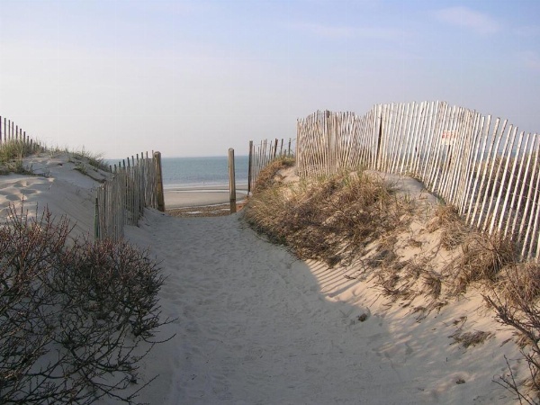 The Mansion at Ocean Edge Resort & Golf Club image 18